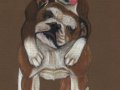 dogs_front.jpg